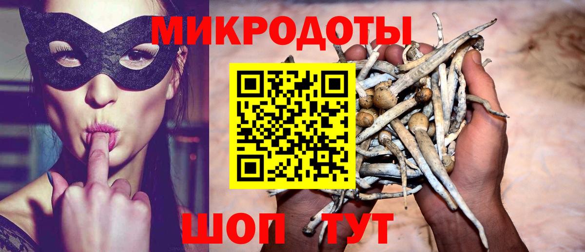 Псилоцибиновые грибы Cubensis  Псилоцибиновые грибы Cubensis  Вход с VPN  Алапаевск 
